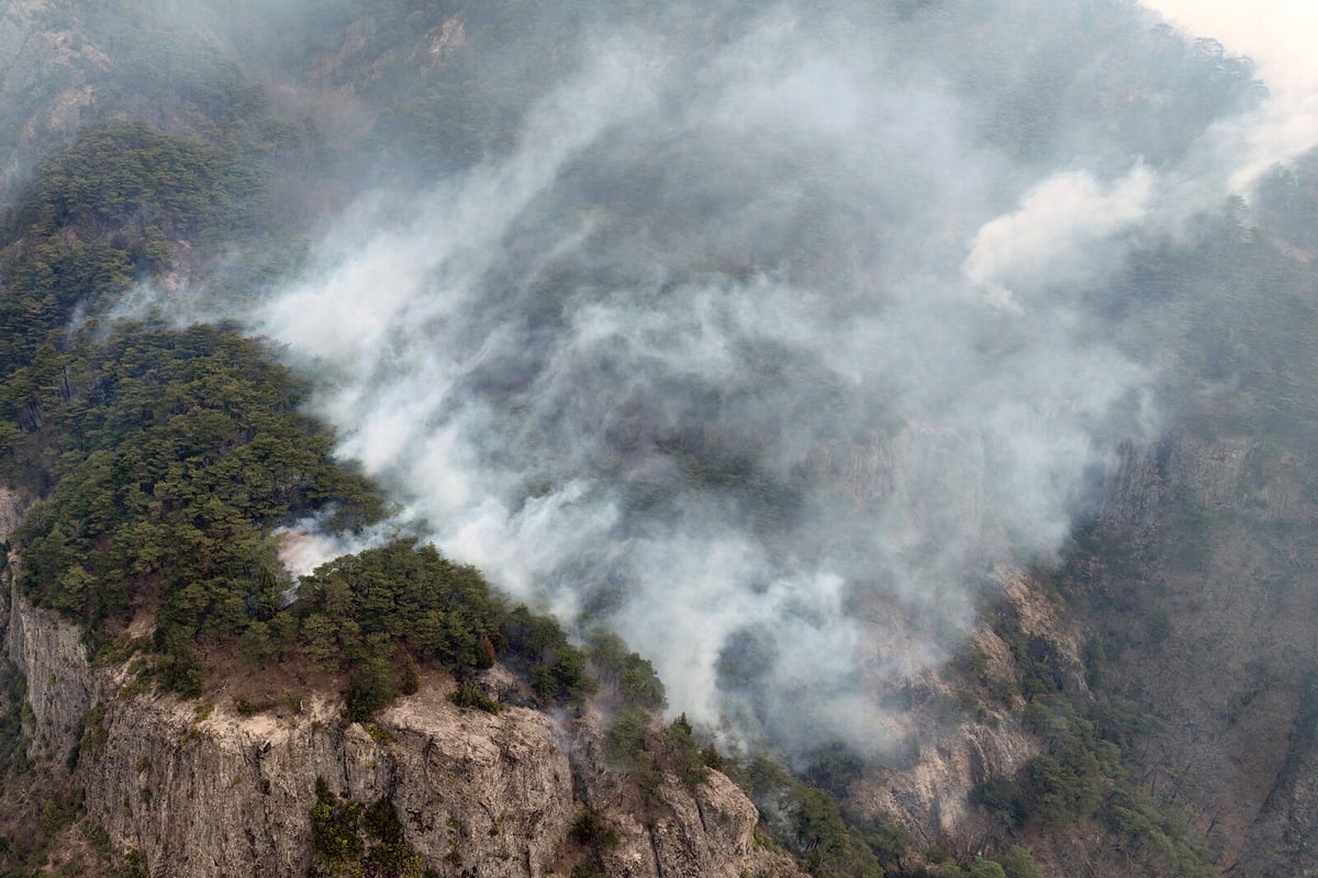 South Korean Fires Claim 27 Lives as Dry Conditions Persist
