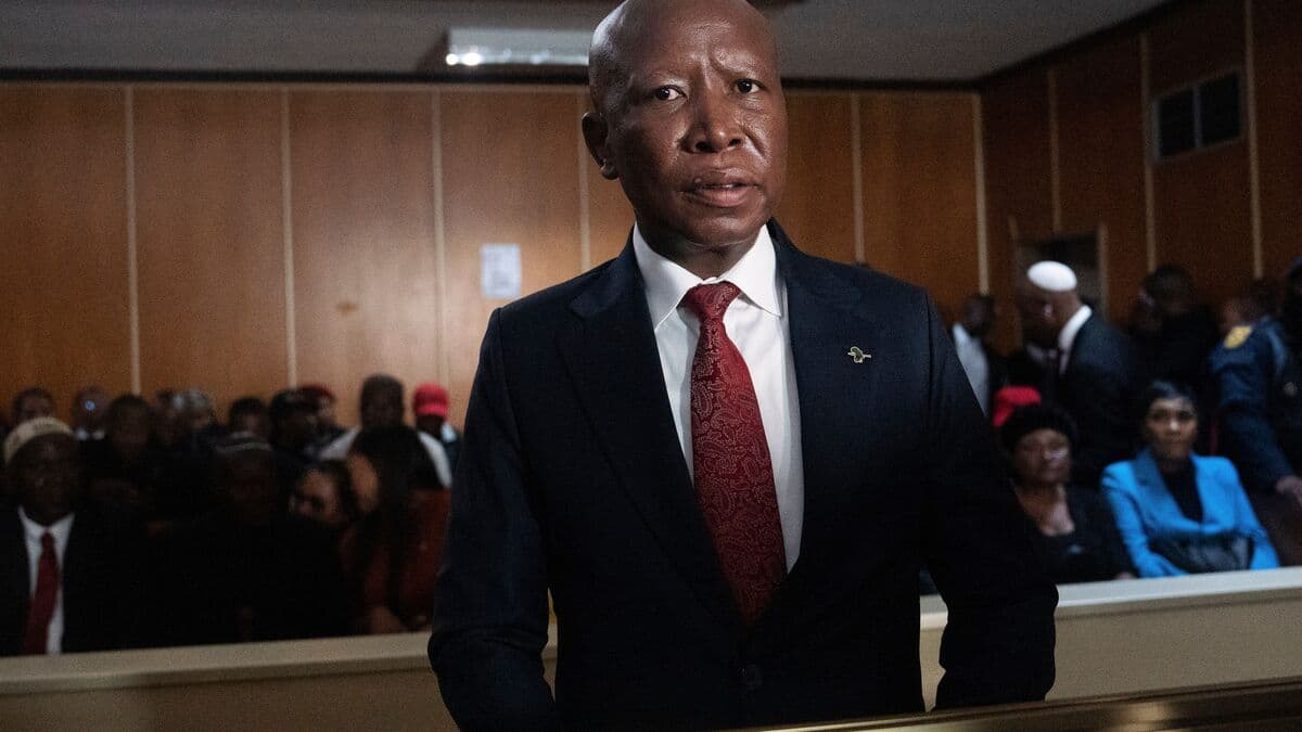 Julius Malema jailed for firing automatic weapon at election rally