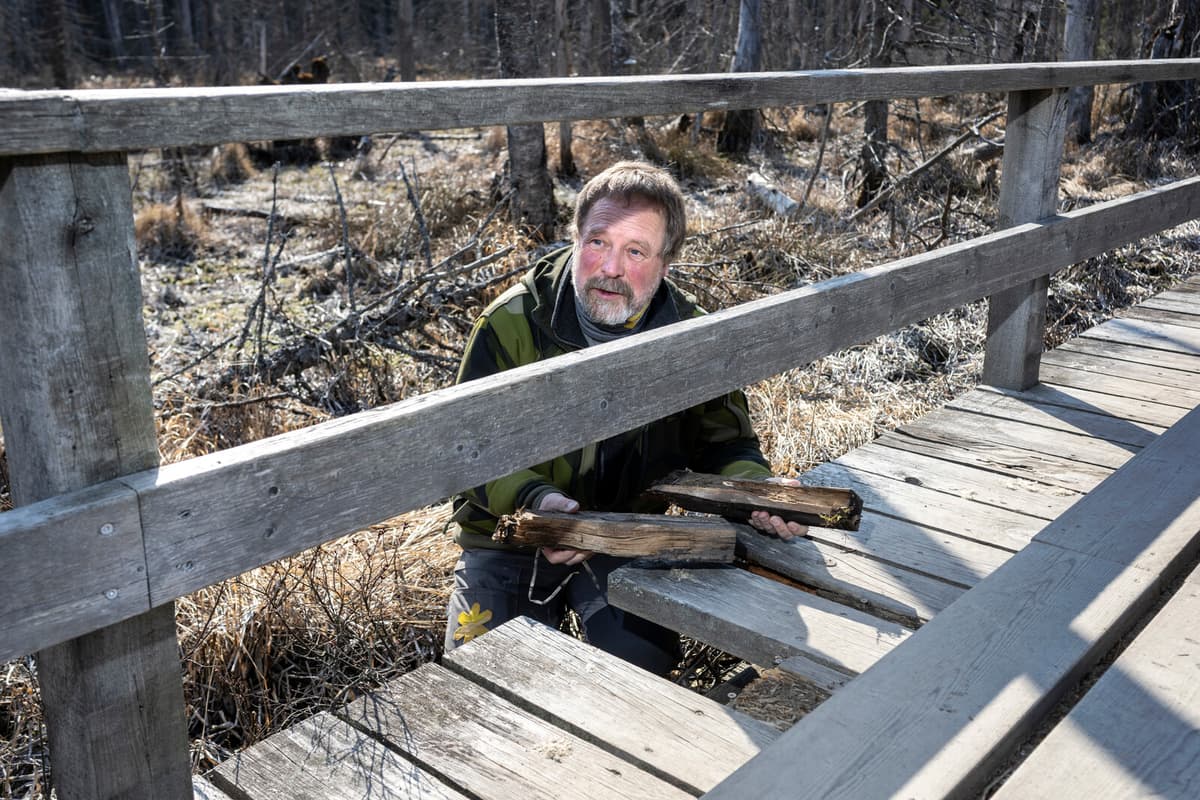 Sweden's National Parks Struggle with Maintenance and Accessibility