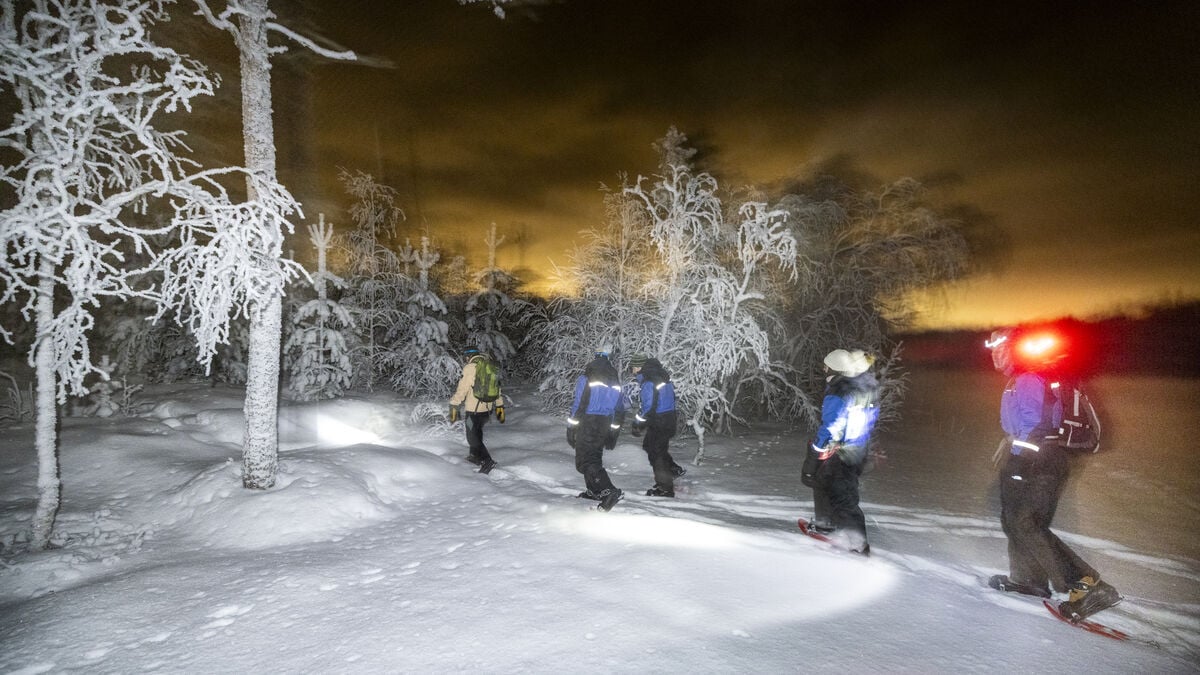 Tourists from around the world search for the Northern Lights in northern Sweden
