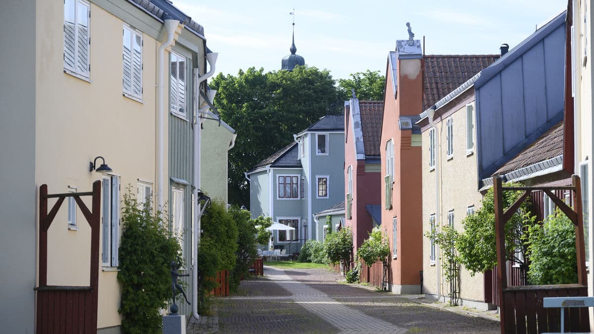 The government gets a nod from M-municipality: "No wonder"