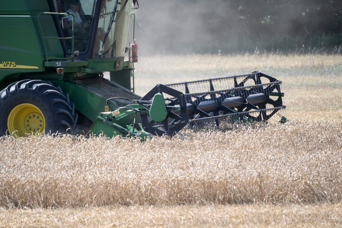 Weather Boosts Harvest Forecast to Normal Levels