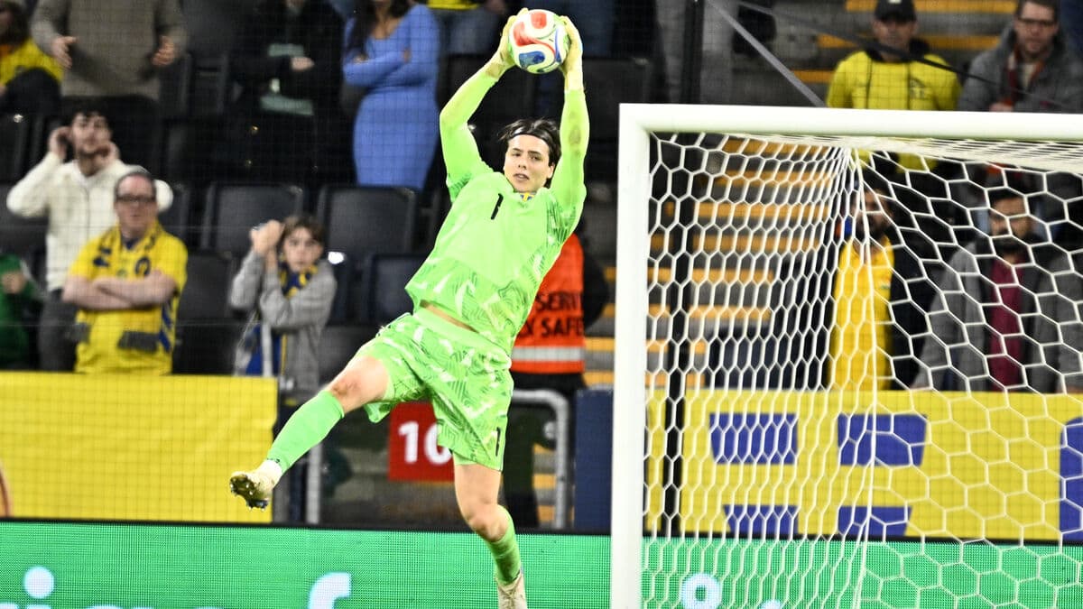 National team goalkeeper Jacob Widell Zetterström healthy after missing 13 matches