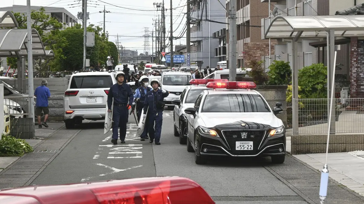 Japanese bear on the prowl captured in Utsunomiya