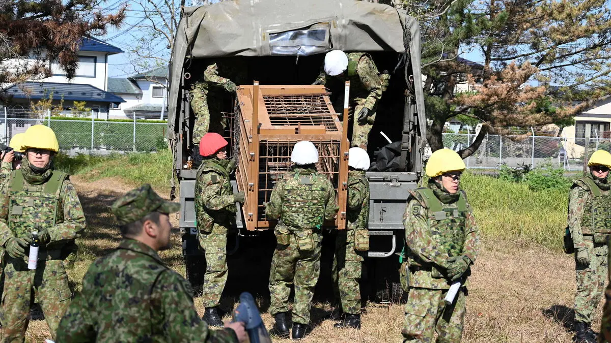 Japan deploys military – against bears