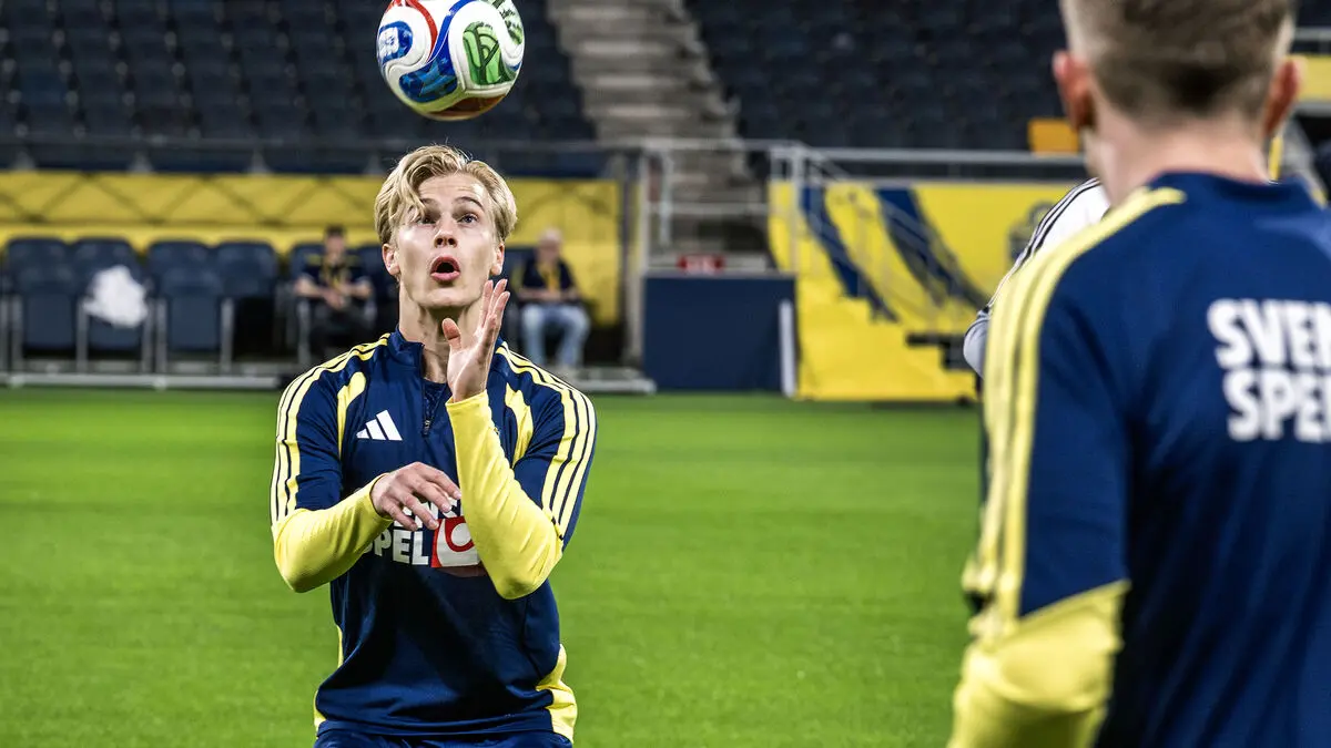 Lucas Bergvall: We are definitely