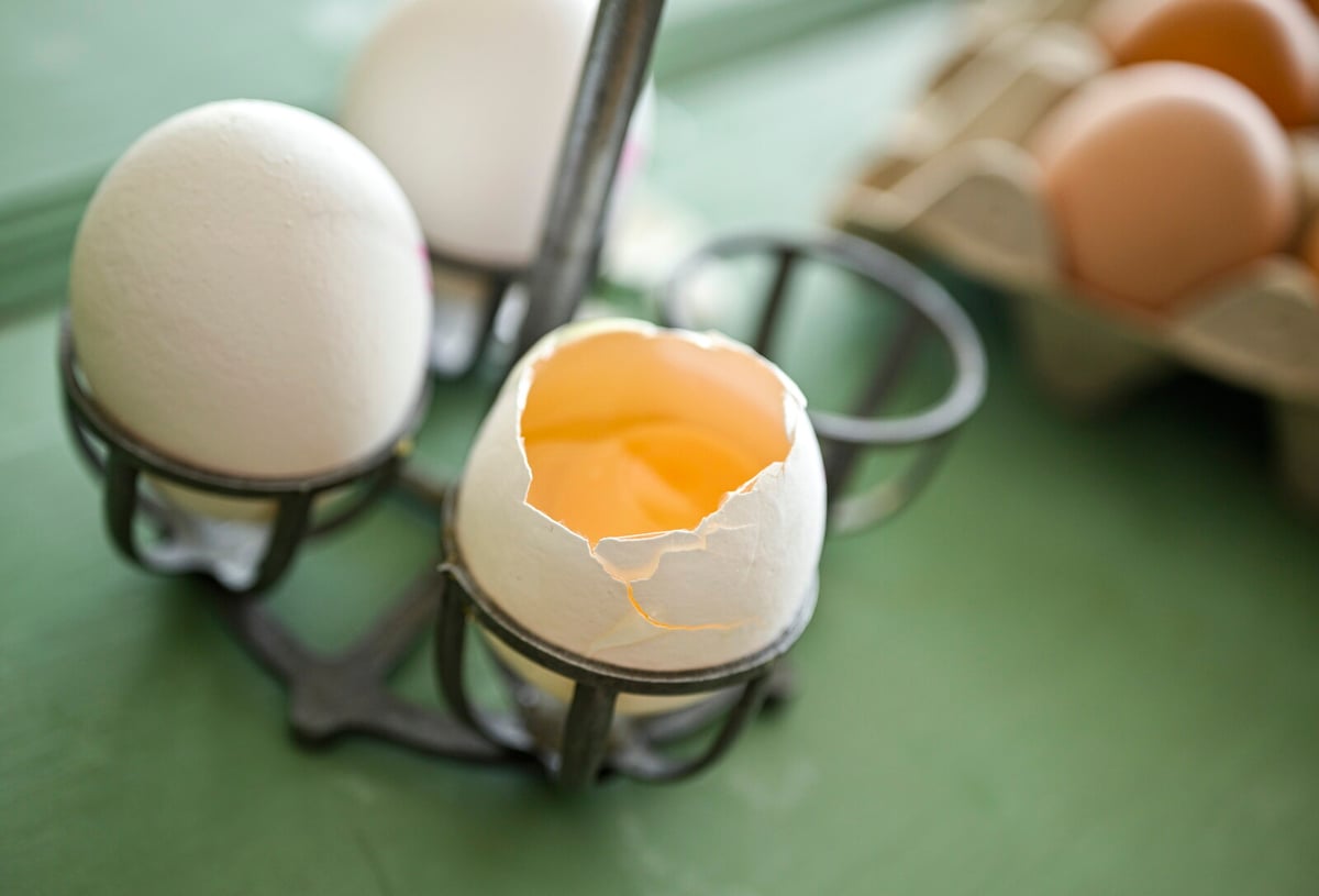 How to Avoid Salmonella: Tips for Safe Egg and Food Handling