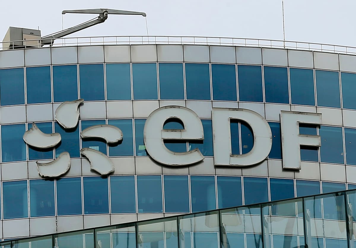 Jellyfish Cause Shutdown of Four French Nuclear Reactors