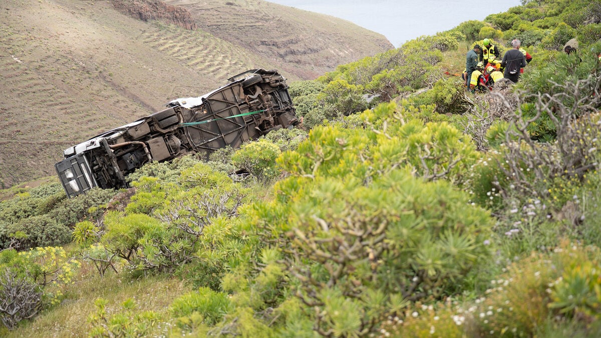 One dead when bus plunges into ravine on La Gomera in the Canary Islands