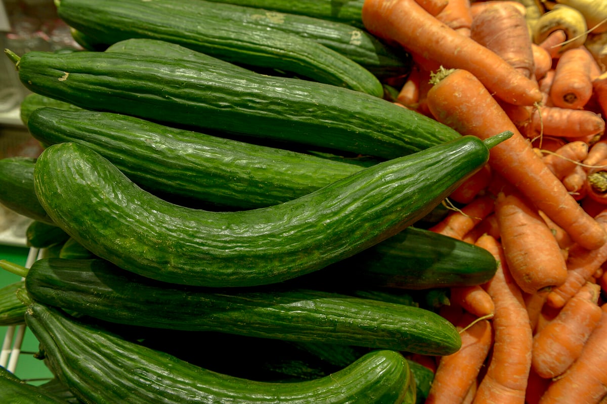 Cucumber Shortage in Norway Tied to Viral TikTok Salad Trend