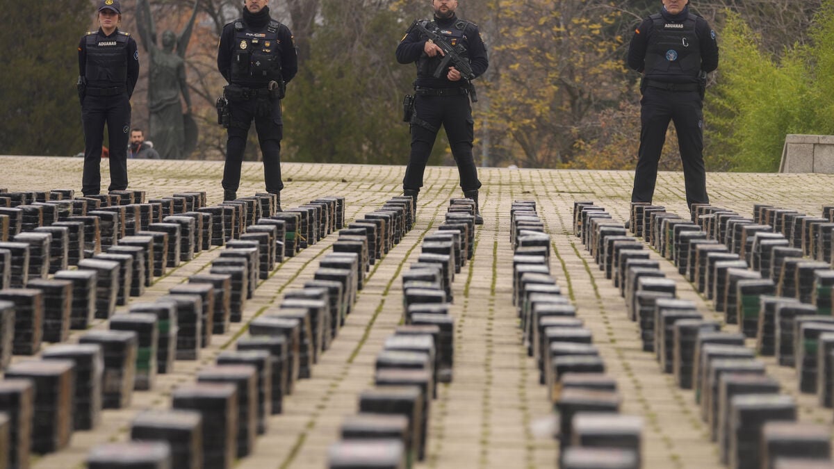 6.5 Tons of Cocaine Seized by Spanish Police Near Canary Islands
