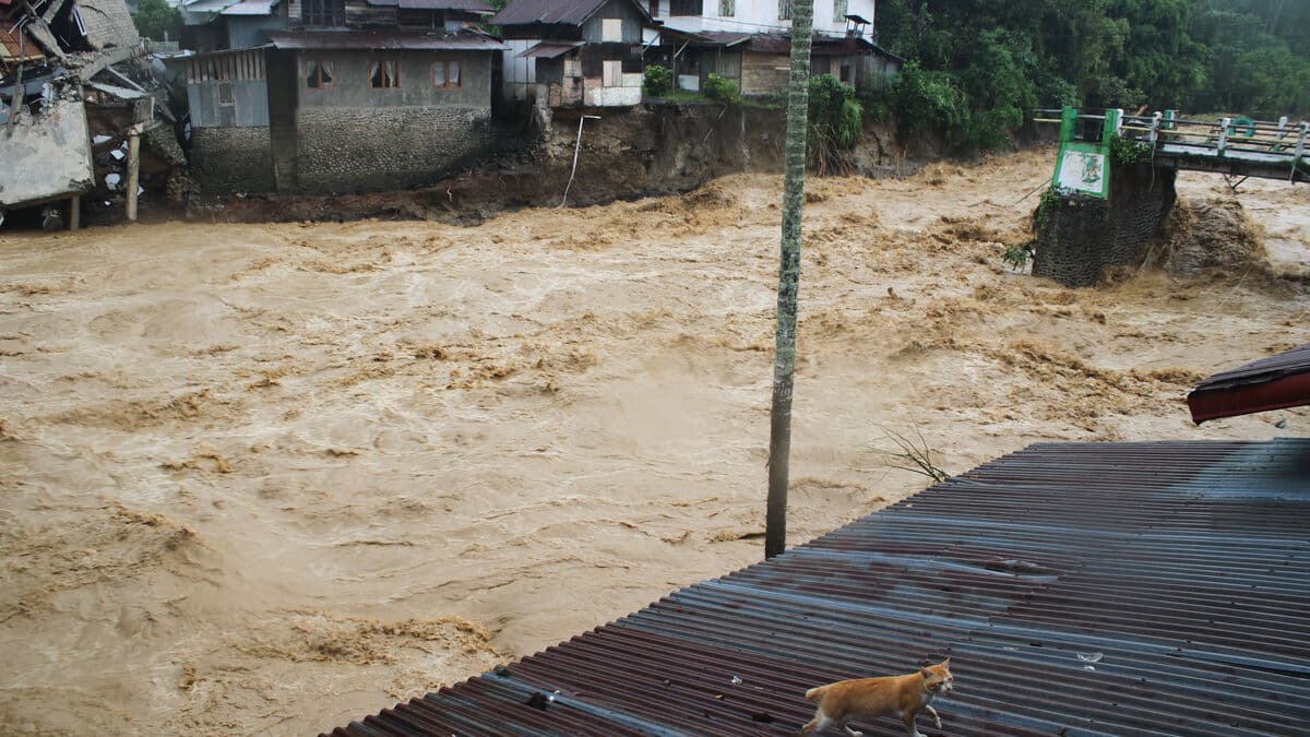 Catastrophic rains in Southeast Asia – hundreds dead