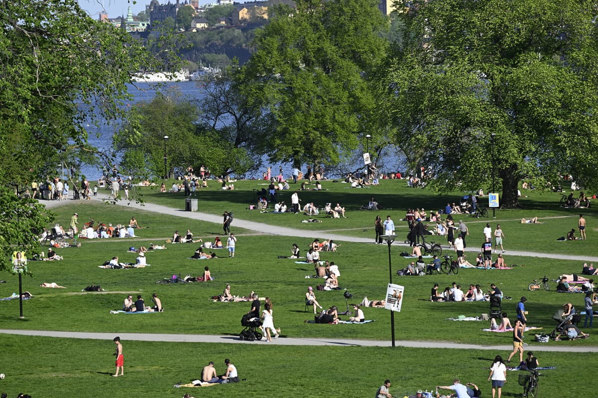 Sweden to Experience Warmer Weather Next Weekend