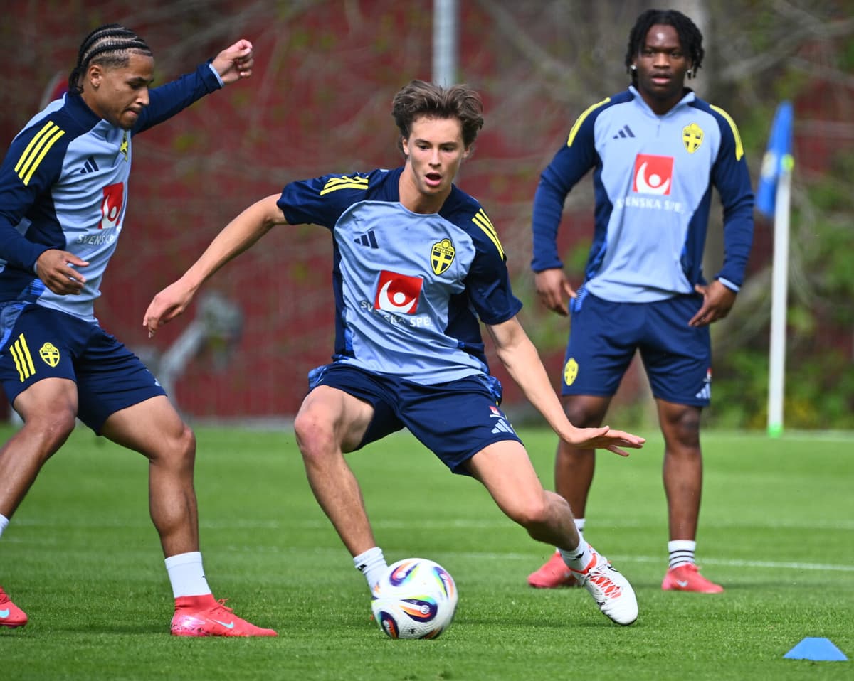 Mellberg Promoted to National Team for Upcoming Matches