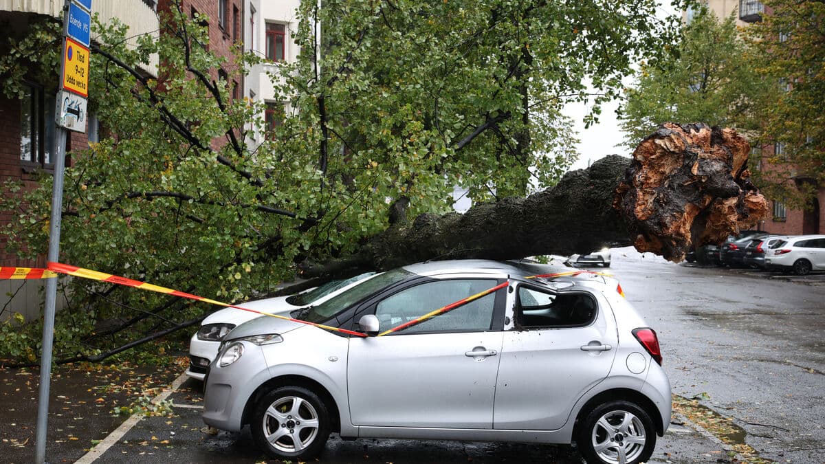Storm Amy Brings Hurricane Winds to Southern Sweden Villages