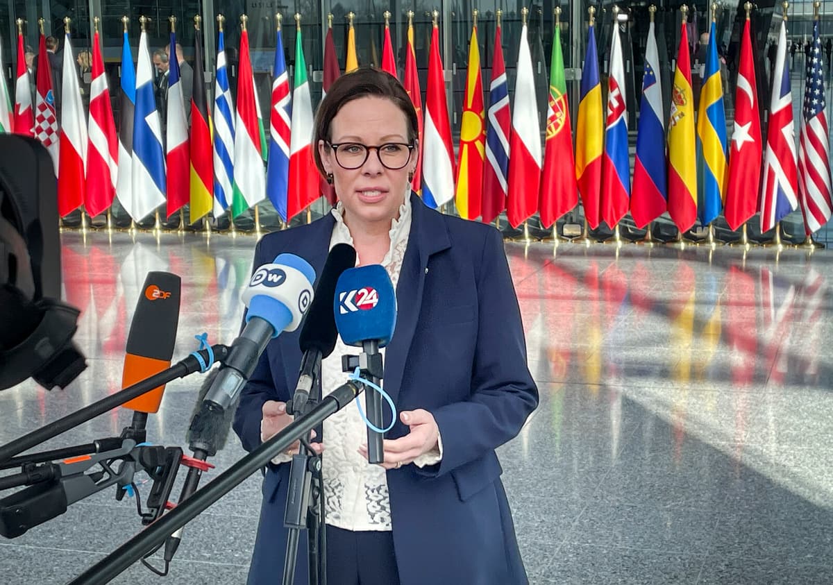 Swedish Minister Pushes for Journalist's Release in Talks with Turkey