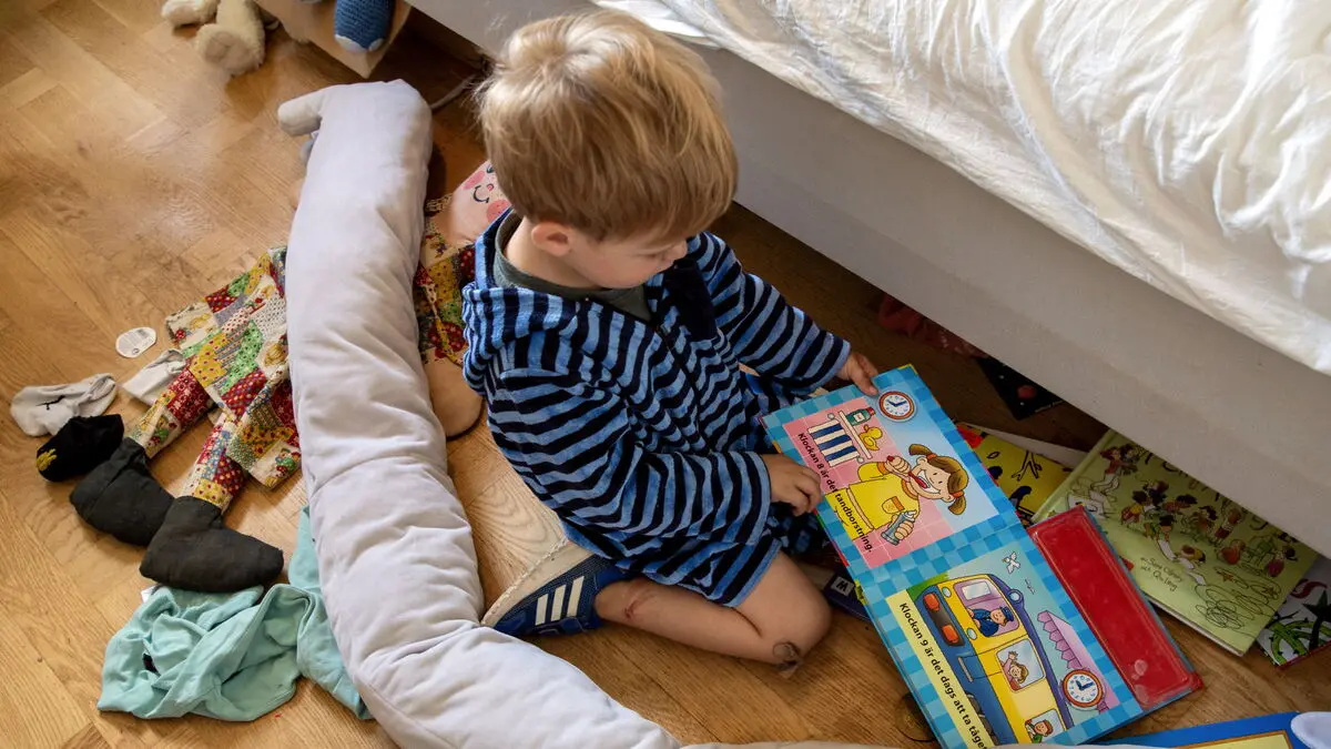 Picture book The Fly by Maja Ståhle wins new award