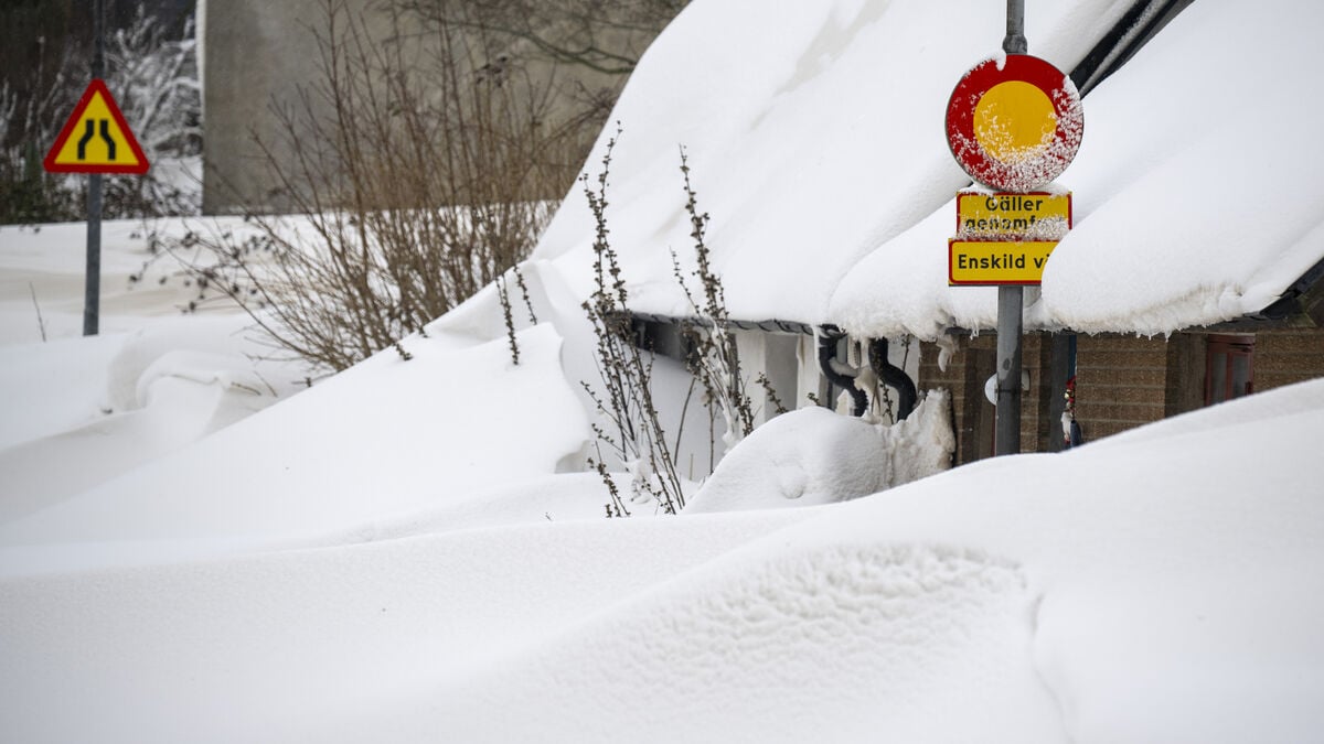 Coldest January in Europe since 2010, Copernicus says