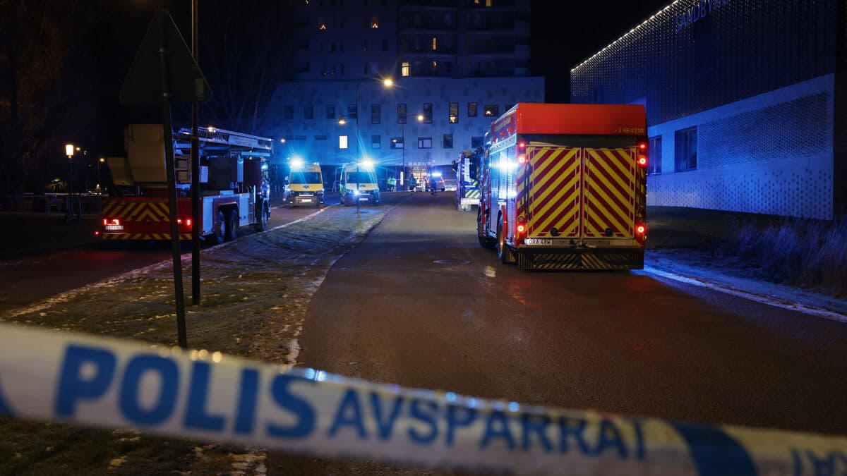 Child bombing suspects on the