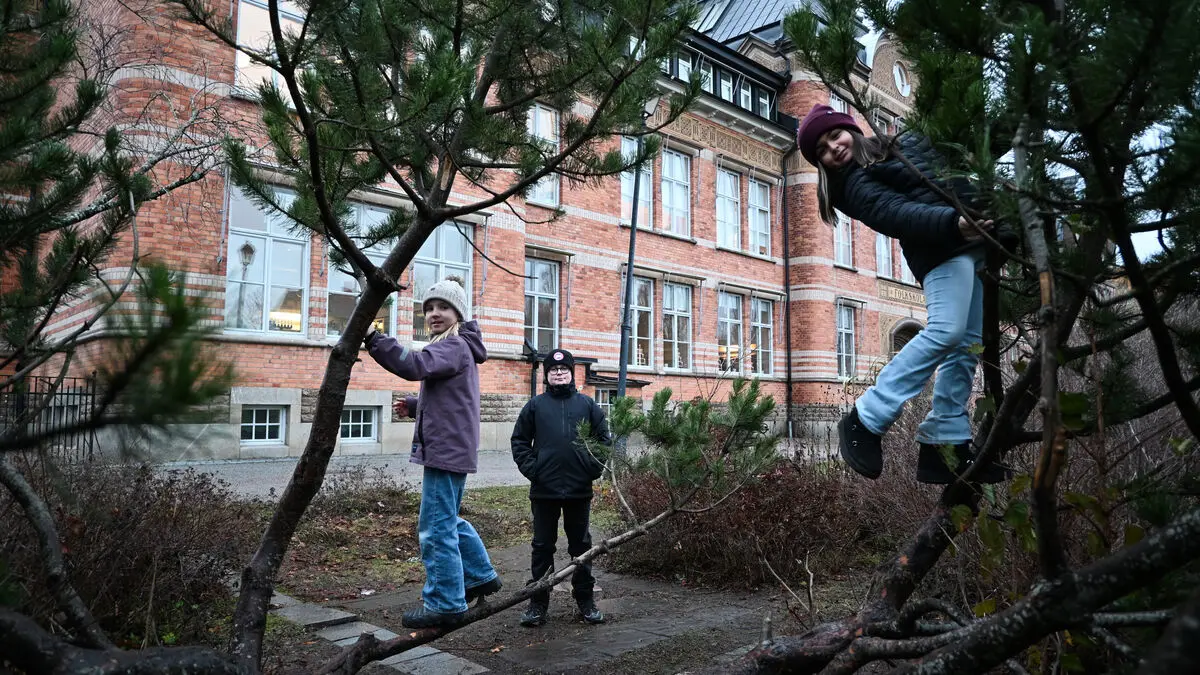 In Västerås, half of the