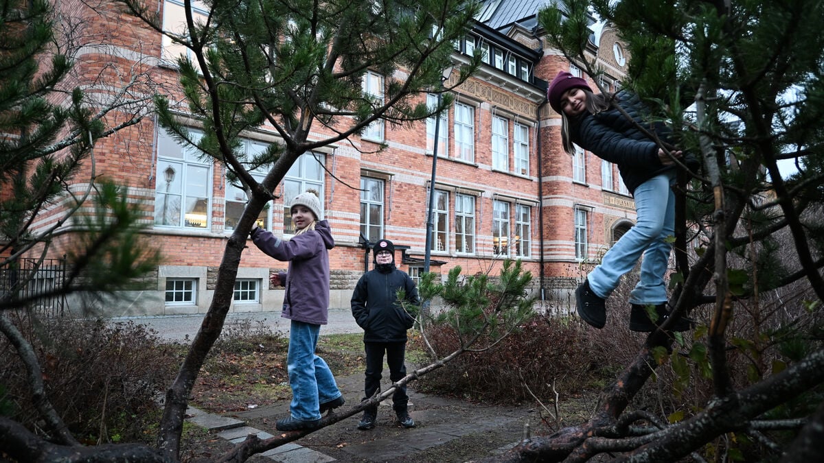 In Västerås, half of the days with snow have disappeared