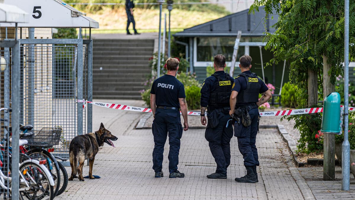 Two men arrested after shooting injures three in Denmark's Holbæk