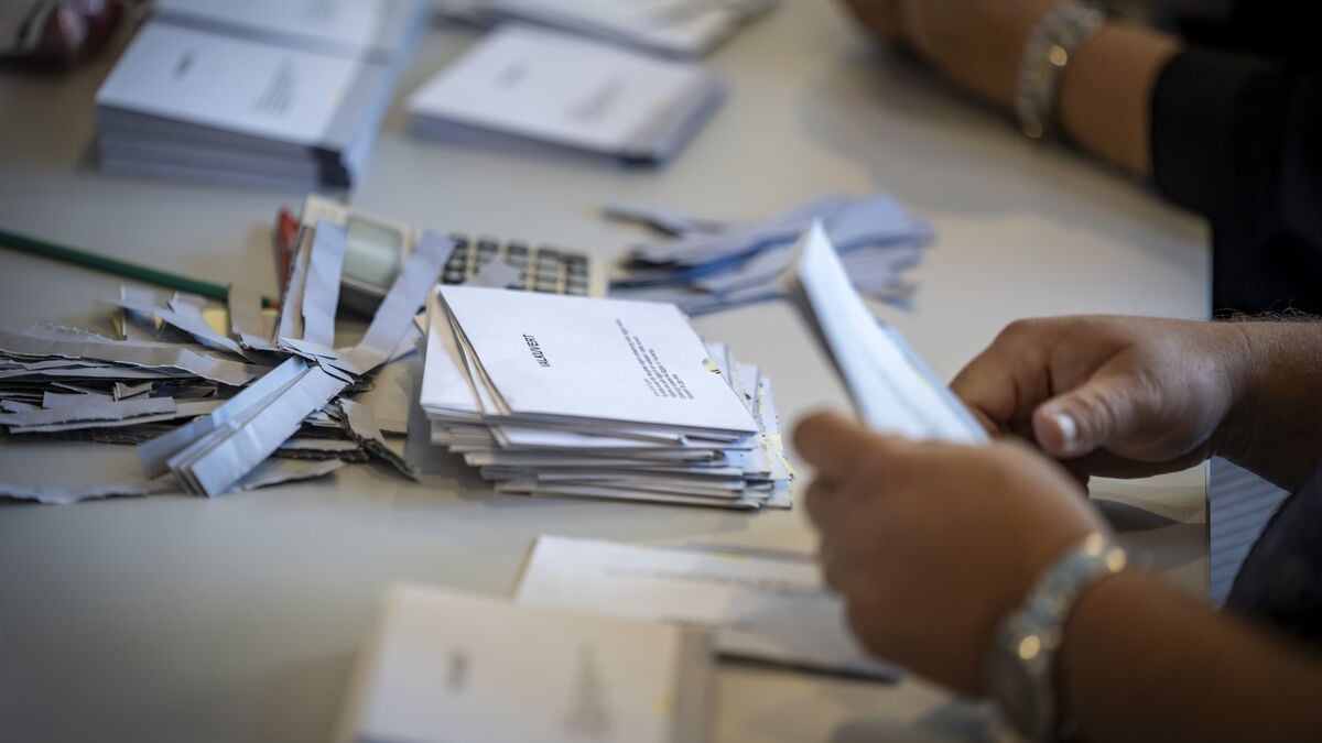Nearly 12,000 appeals filed after the election