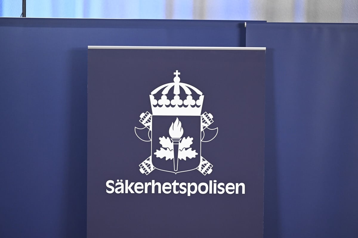 Suspected Chinese Spy in Sweden Released from Detention
