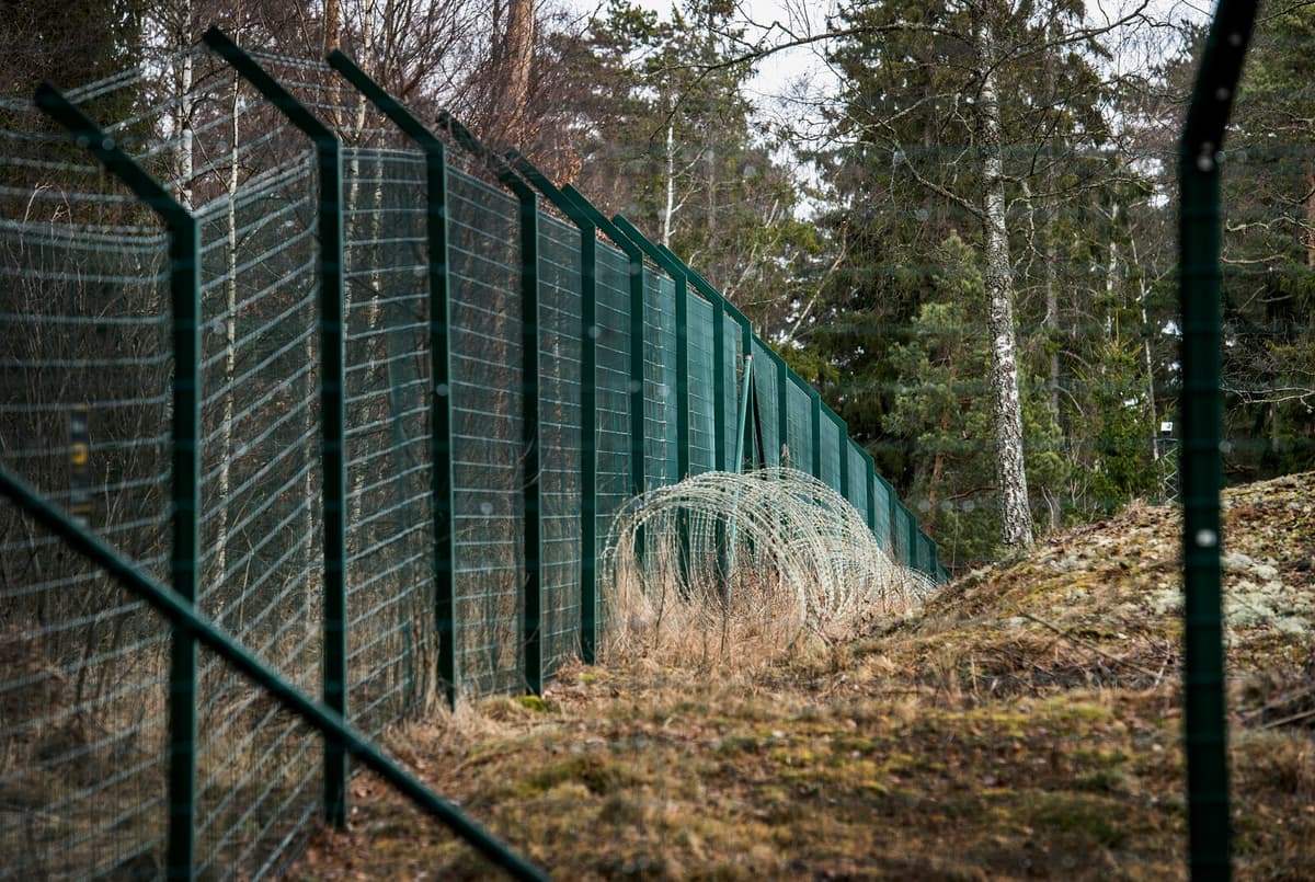 Report Highlights Failures in Sweden's Treatment of Detained Children