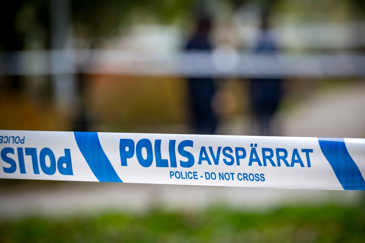 Charged with brutal hammer murder – planned more
