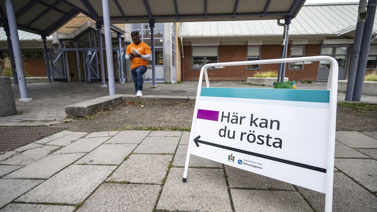 This is how parties will reach young people - TikTok elections await