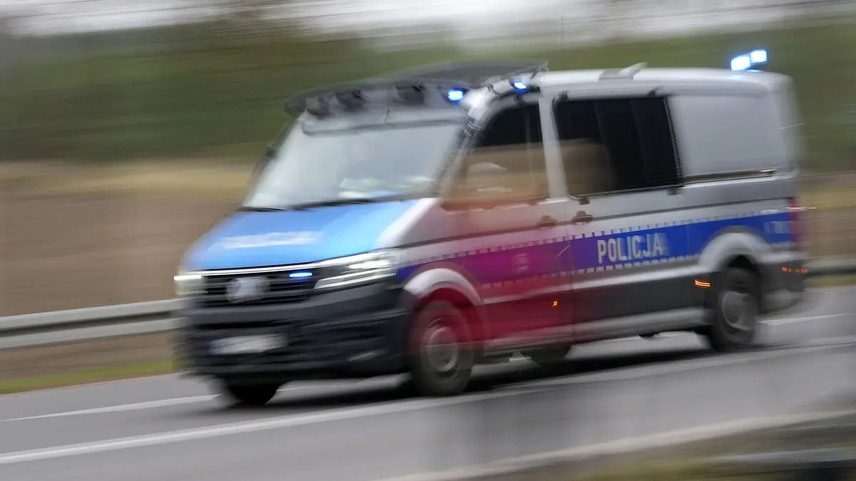 Poland: 100 arrested for child abuse images