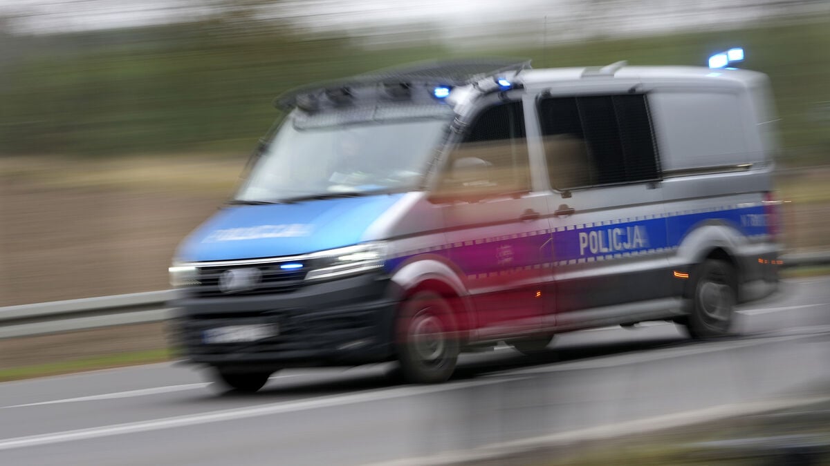 Poland: 100 arrested for child abuse images