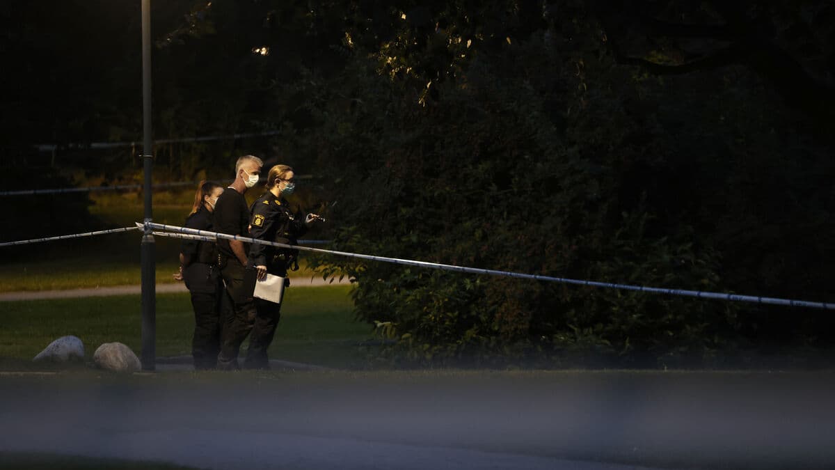 Man shot dead in Hässelby,