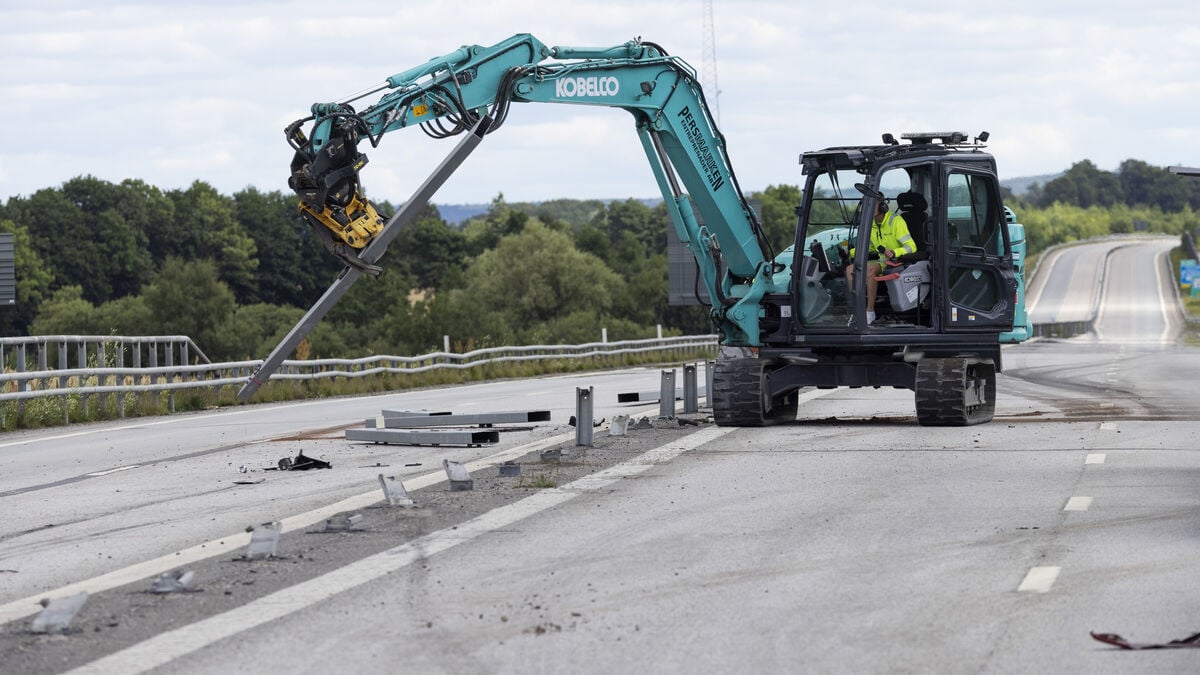 Pigeon caused crash on E22, police say