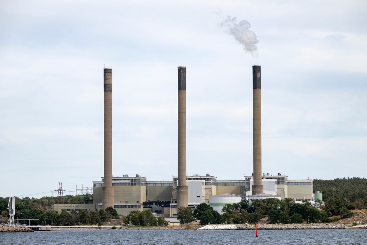 Strategic Power Reserve Needed for Winter to Prevent Shortages