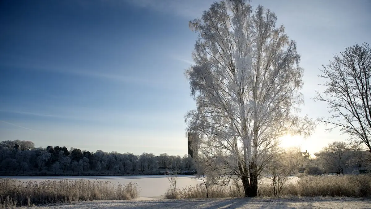 Weather forecast: Sun and cold on Christmas Eve