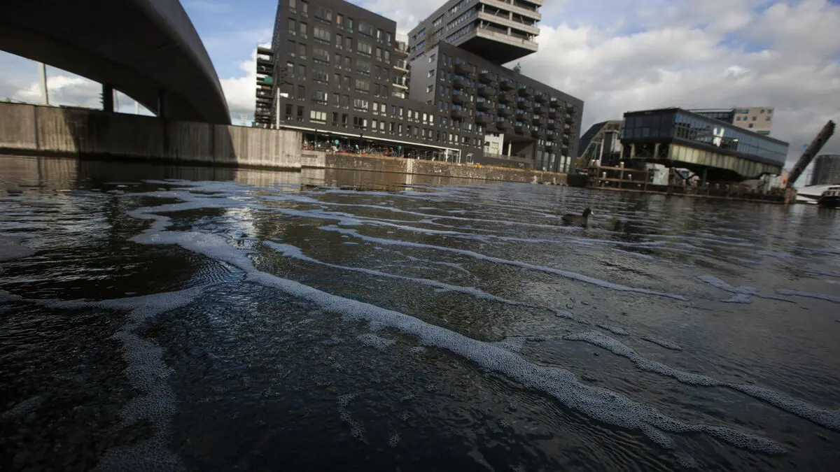 Poop from music festivals dumped illegally