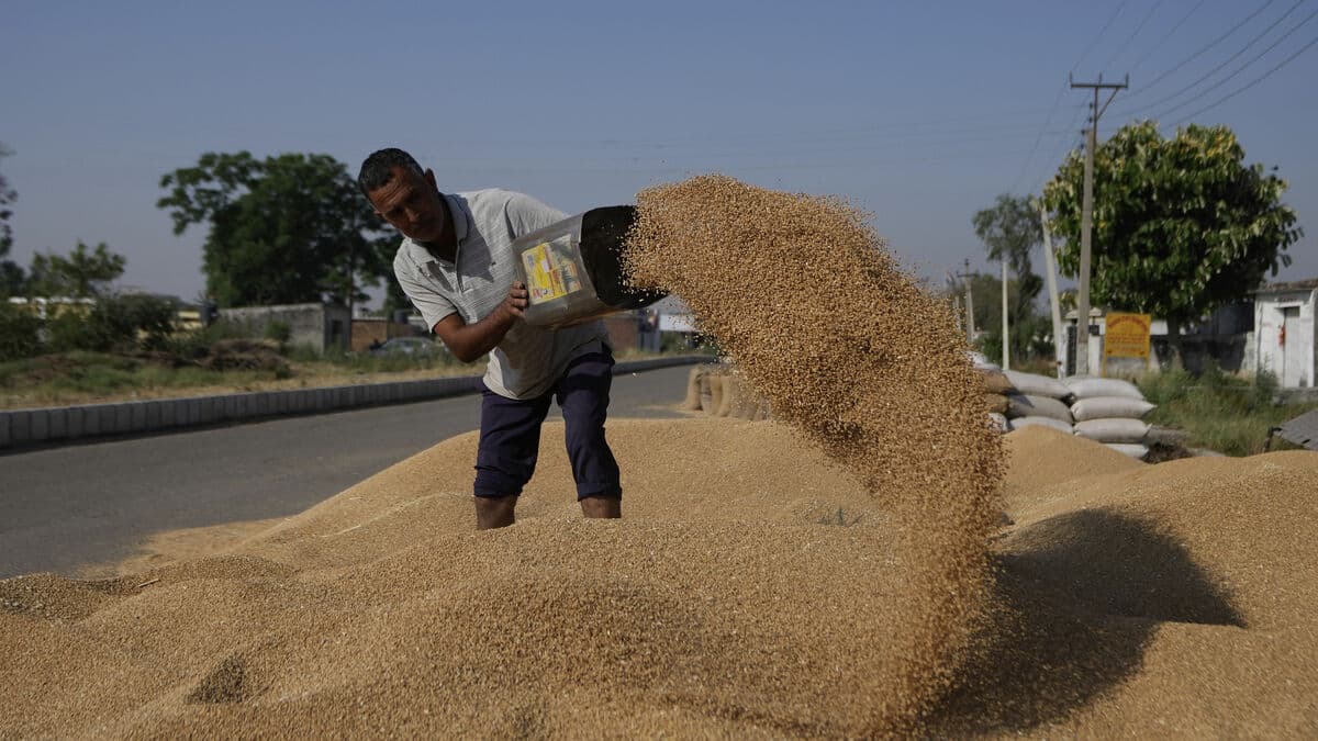 Iran war pushes up global food prices