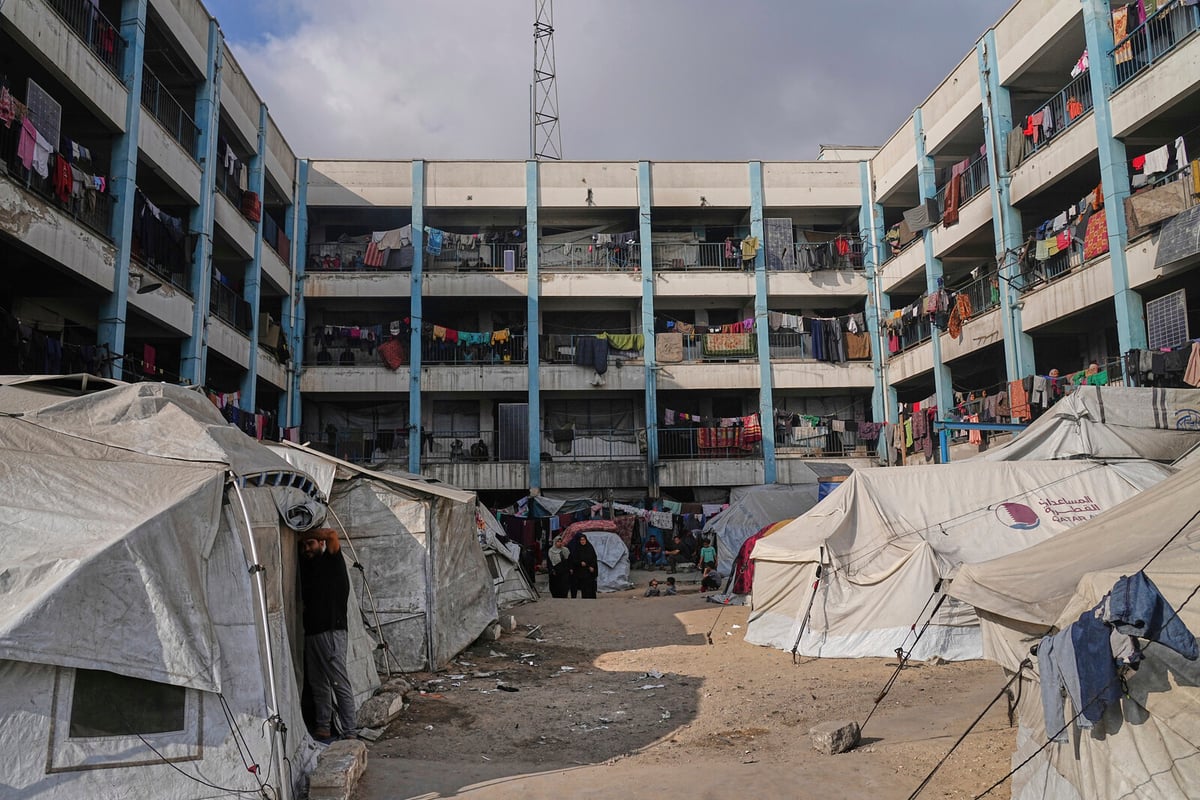 Nearly 80 Killed by Israeli Fire in Gaza Amid Aid Distribution Chaos