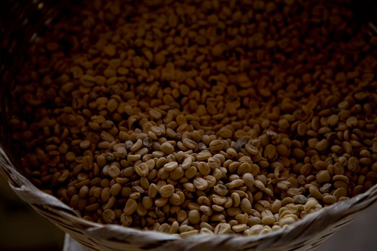 Highest coffee price in almost 50 years