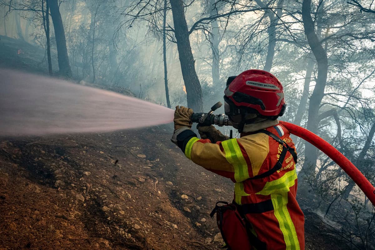 France's Largest Summer Forest Fire Under Control