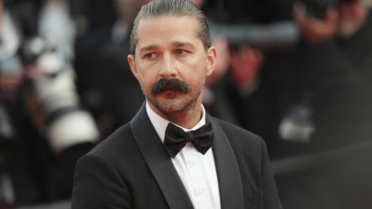 Shia LaBeouf avoids prison, sent to rehab
