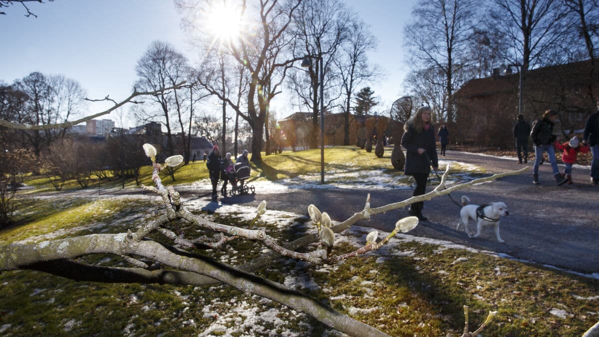 Spring is coming, but only in the far south