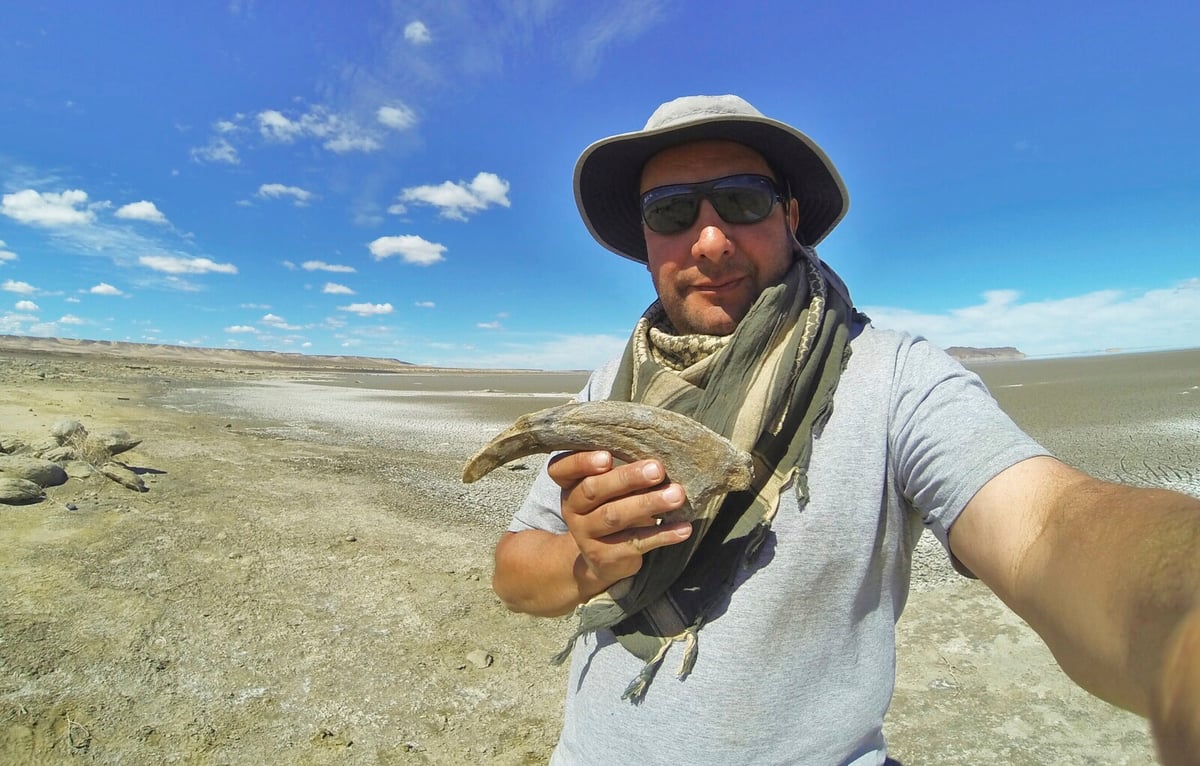New Dinosaur Species Discovered in Argentina with Crocodile Bone in Jaw