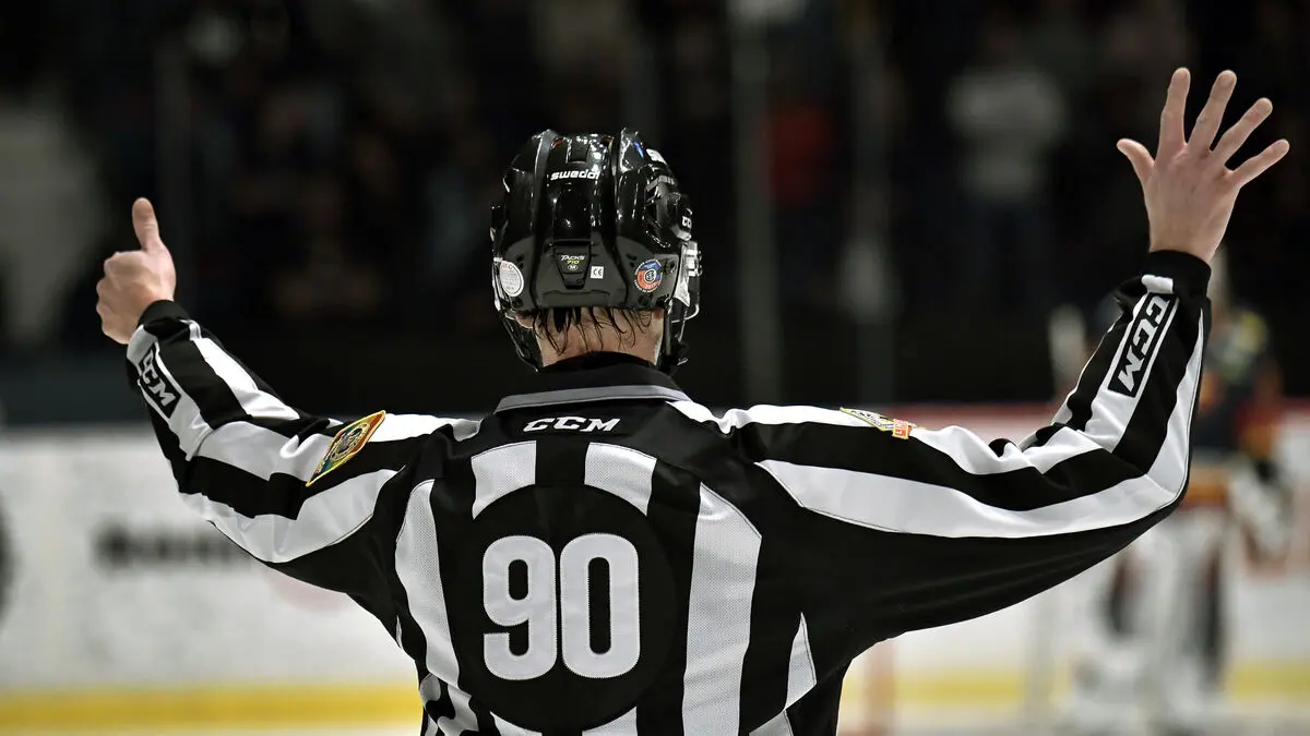 Two SHL players suspended after on-ice fight