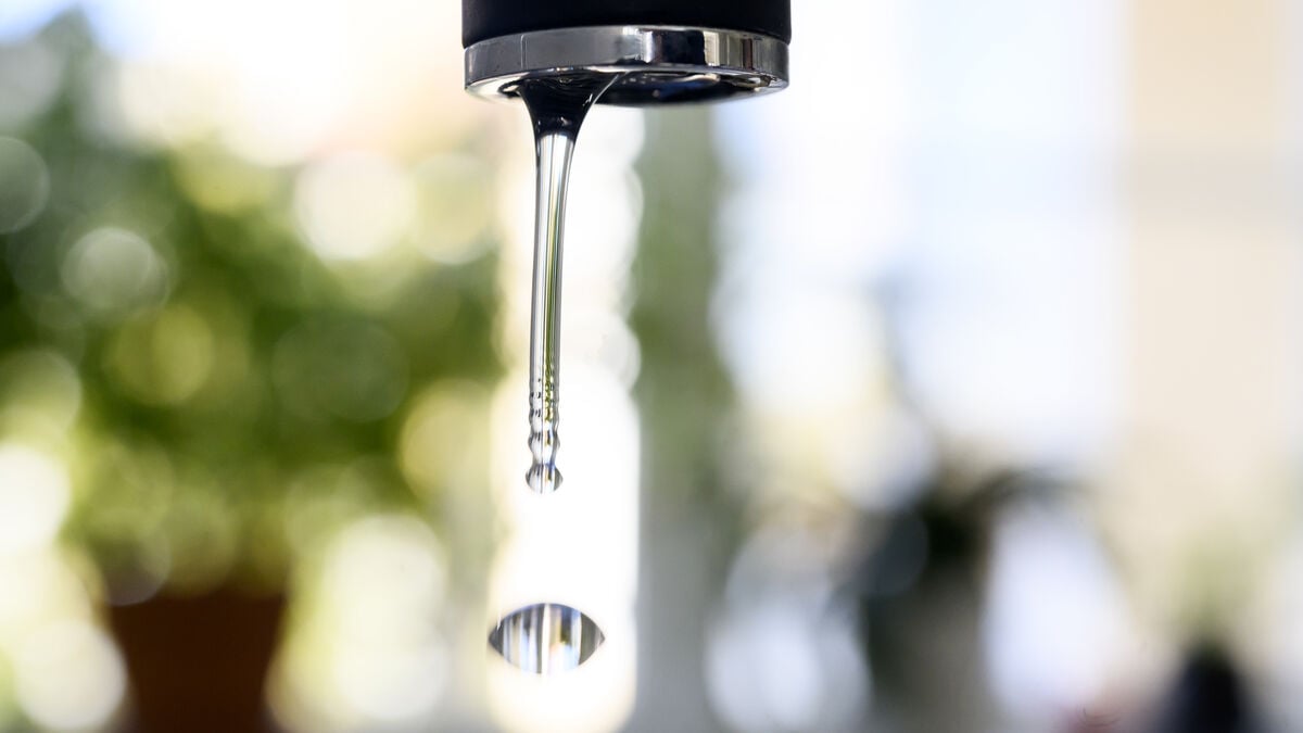 Low groundwater levels drive surge in well drilling across southern Sweden