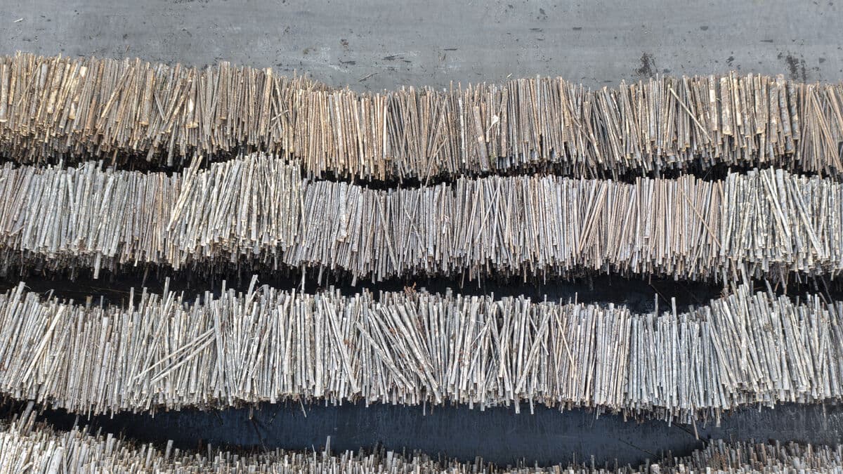 Rottneros warns, expects SEK 180 million in losses