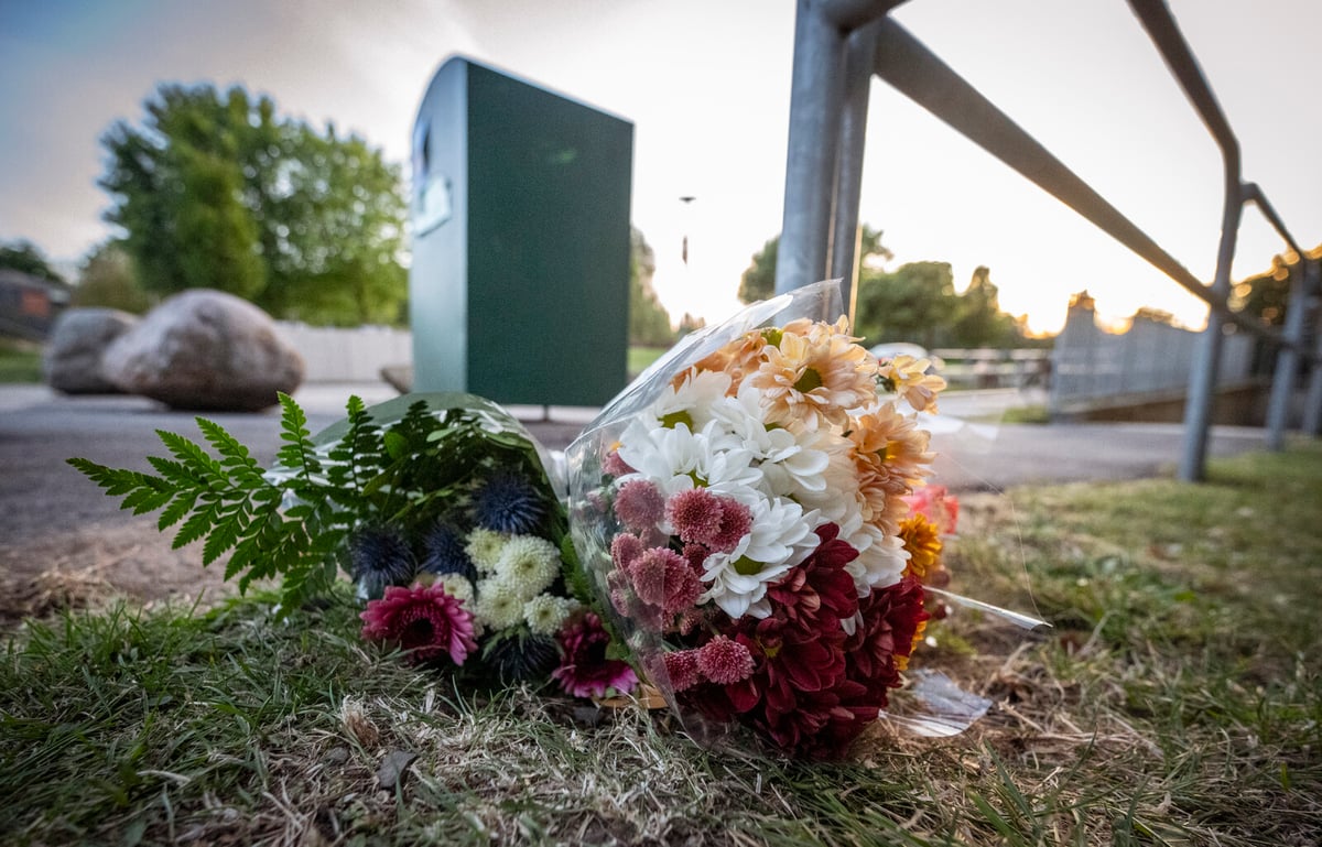 Two Young Men Charged in Brutal Malmö Murder