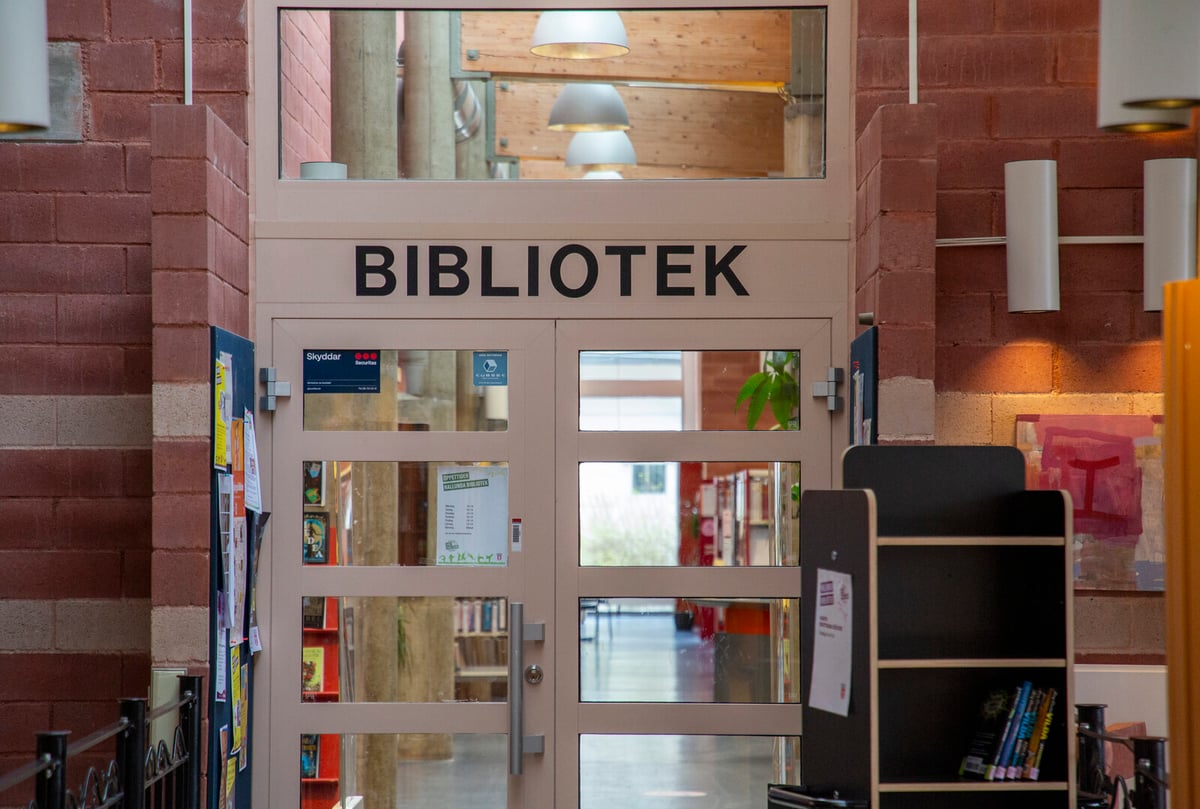 Libraries Struggle as Social Services Demand Grows, DIK Report Finds